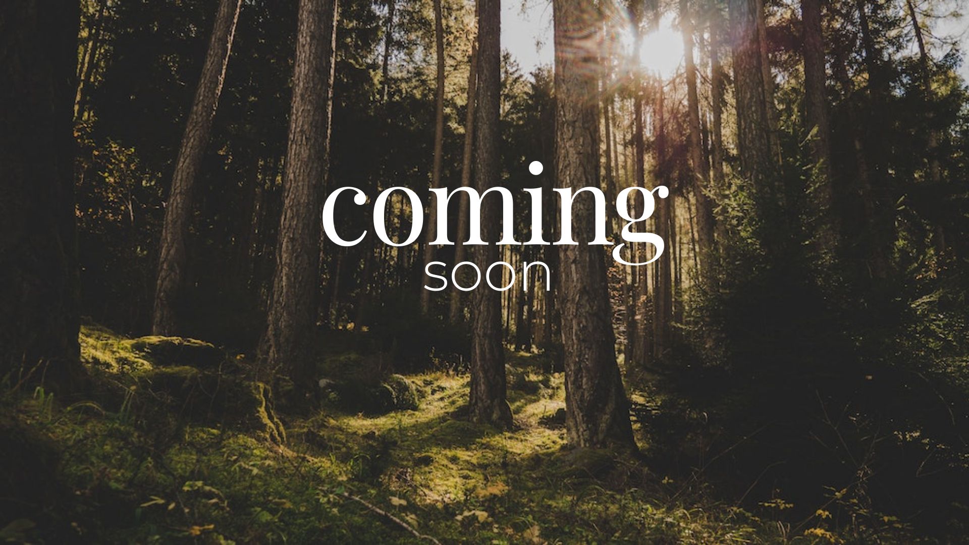 wepik-adventure-positive-quote-20230731100700d1p1